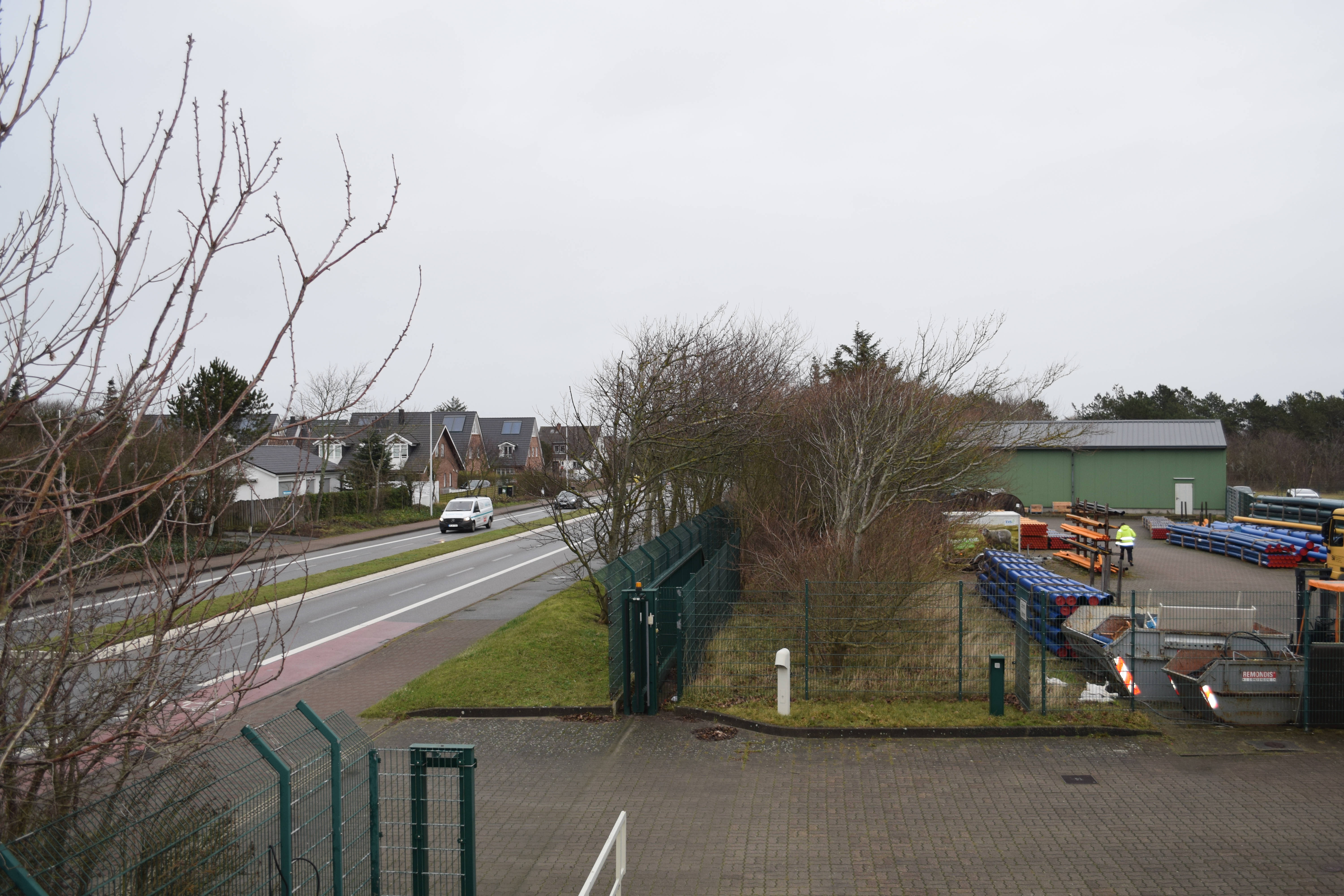 20190116_EVS_Baeume_Betriebsgelaende.JPG