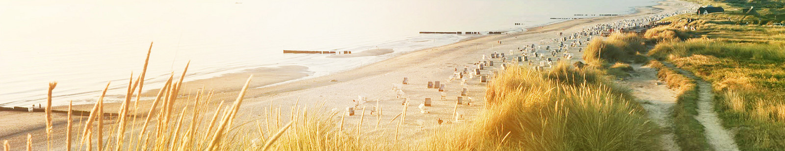 Blick auf Dünenstrand Sylt im goldenen Licht