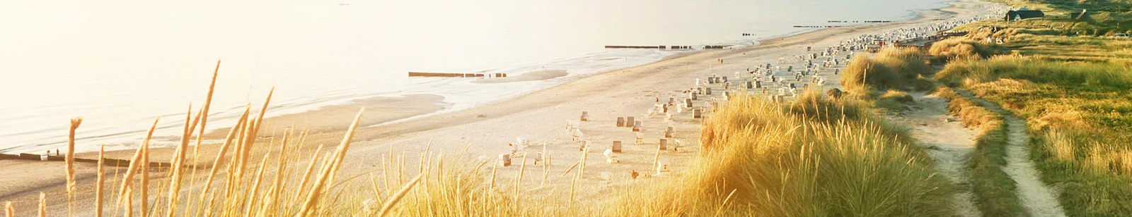 Blick auf Dünenstrand Sylt im goldenen Licht