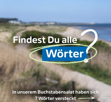 Social Post: Augen auf beim Energie-Suchrätsel 👀⚡
Zwischen all den Buchstaben haben...