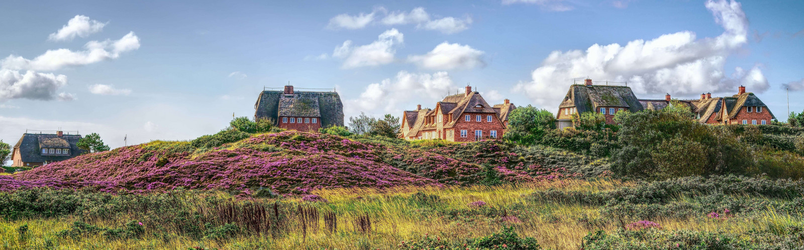 Dünen- und Heidelandschaft, in denen sechs Reetdachhäuse stehen, vor blau-weißem Himmel