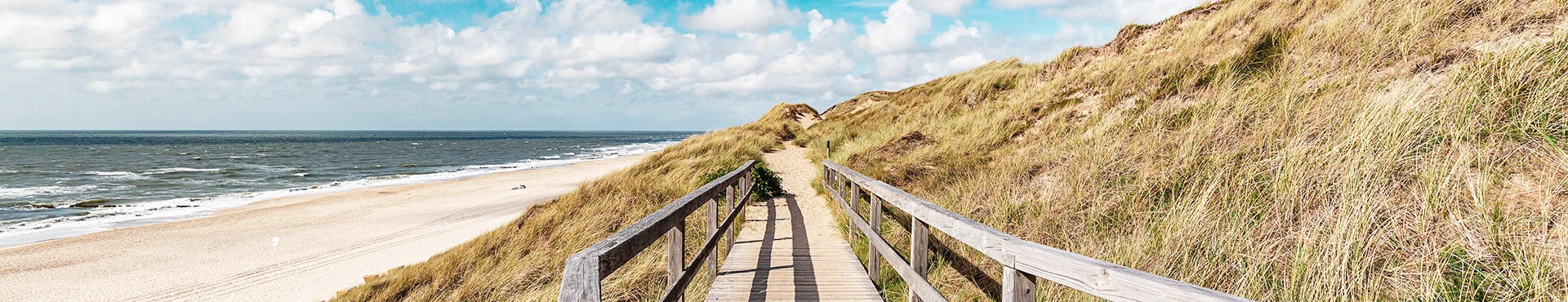 Bohlenweg in den Dünen direkt am Nordseestrand